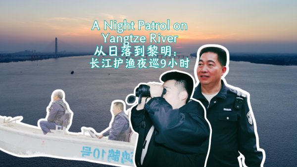 single-video-image