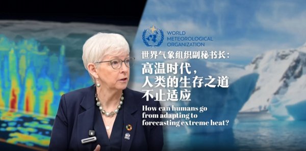 single-video-image